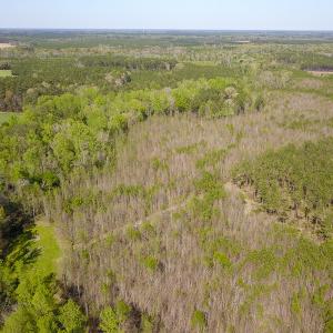 Photo #8 of SOLD property in 916 Republican Road, Windsor, NC 275.0 acres