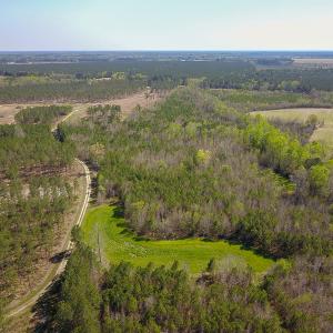 Photo #9 of SOLD property in 916 Republican Road, Windsor, NC 275.0 acres