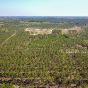 Photo #10 of SOLD property in 916 Republican Road, Windsor, NC 275.0 acres