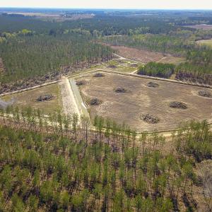 Photo #12 of SOLD property in 916 Republican Road, Windsor, NC 275.0 acres