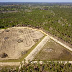 Photo #13 of SOLD property in 916 Republican Road, Windsor, NC 275.0 acres