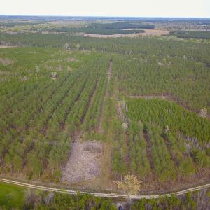 Photo #15 of SOLD property in 916 Republican Road, Windsor, NC 275.0 acres