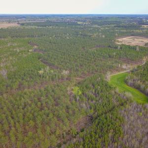Photo #16 of SOLD property in 916 Republican Road, Windsor, NC 275.0 acres