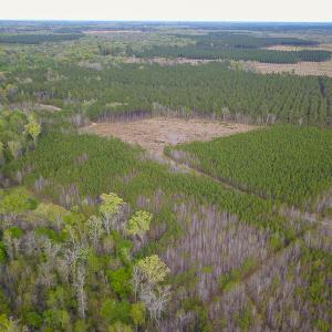 Photo #17 of SOLD property in 916 Republican Road, Windsor, NC 275.0 acres