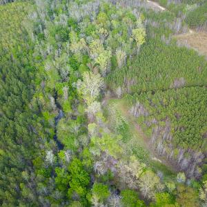Photo #18 of SOLD property in 916 Republican Road, Windsor, NC 275.0 acres