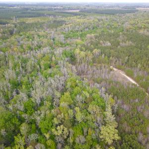 Photo #19 of SOLD property in 916 Republican Road, Windsor, NC 275.0 acres