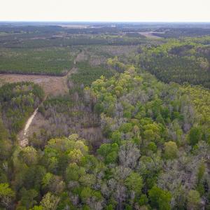 Photo #20 of SOLD property in 916 Republican Road, Windsor, NC 275.0 acres