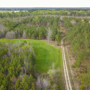 Photo #23 of SOLD property in 916 Republican Road, Windsor, NC 275.0 acres