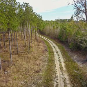 Photo #24 of SOLD property in 916 Republican Road, Windsor, NC 275.0 acres