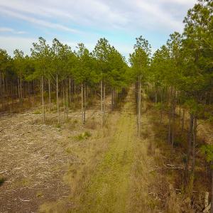 Photo #25 of SOLD property in 916 Republican Road, Windsor, NC 275.0 acres