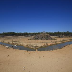 Photo #28 of SOLD property in 916 Republican Road, Windsor, NC 275.0 acres