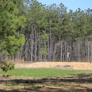 Photo #29 of SOLD property in 916 Republican Road, Windsor, NC 275.0 acres