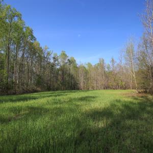 Photo #33 of SOLD property in 916 Republican Road, Windsor, NC 275.0 acres