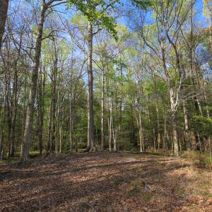 Photo #35 of SOLD property in 916 Republican Road, Windsor, NC 275.0 acres