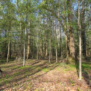 Photo #36 of SOLD property in 916 Republican Road, Windsor, NC 275.0 acres