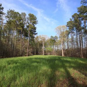 Photo #39 of SOLD property in 916 Republican Road, Windsor, NC 275.0 acres