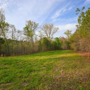 Photo #43 of SOLD property in 916 Republican Road, Windsor, NC 275.0 acres