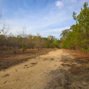 Photo #44 of SOLD property in 916 Republican Road, Windsor, NC 275.0 acres