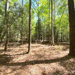 Photo #2 of Off Meherrin Road, Boykins, VA 1.8 acres