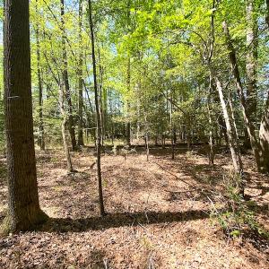 Photo #3 of Off Meherrin Road, Boykins, VA 1.8 acres