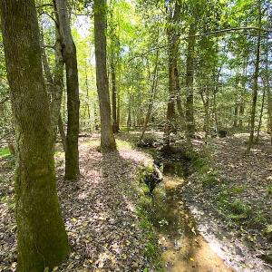 Photo #4 of Off Meherrin Road, Boykins, VA 1.8 acres