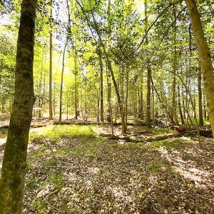 Photo #5 of Off Meherrin Road, Boykins, VA 1.8 acres