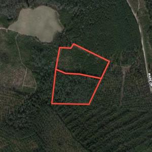 Photo #1 of Off Ware Drive, Nichols, SC 23.3 acres
