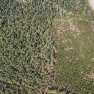 Photo #3 of Off Ware Drive, Nichols, SC 23.3 acres
