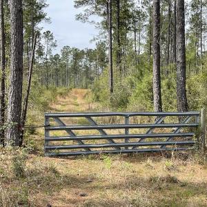 Photo #5 of Off Ware Drive, Nichols, SC 23.3 acres