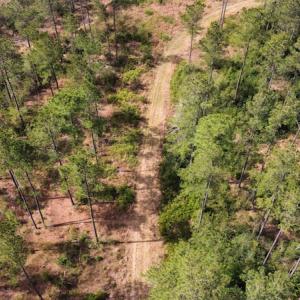 Photo #6 of Off Ware Drive, Nichols, SC 23.3 acres