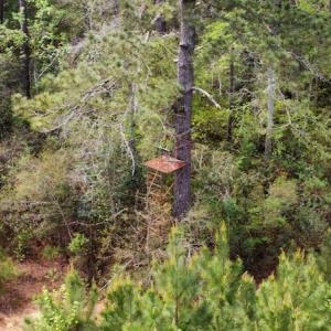 Photo #22 of Off Ware Drive, Nichols, SC 23.3 acres