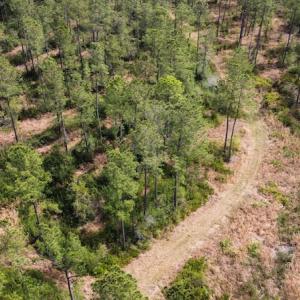 Photo #29 of Off Ware Drive, Nichols, SC 23.3 acres