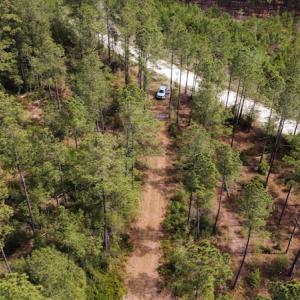 Photo #30 of Off Ware Drive, Nichols, SC 23.3 acres