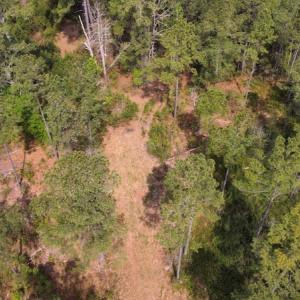 Photo #7 of Off Ware Drive, Nichols, SC 23.3 acres