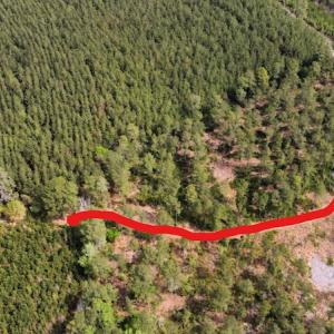 Photo #2 of Off Ware Drive, Nichols, SC 23.3 acres