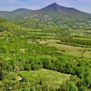 Photo #7 of SOLD property in 1532 Wideview Drive, Thaxton, VA 5.2 acres