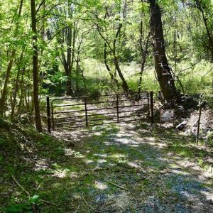 Photo #11 of SOLD property in 1532 Wideview Drive, Thaxton, VA 5.2 acres