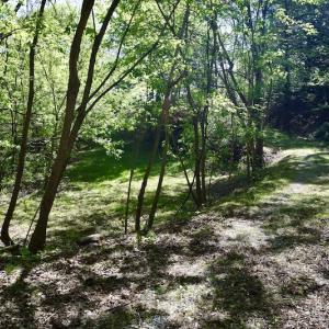 Photo #12 of SOLD property in 1532 Wideview Drive, Thaxton, VA 5.2 acres