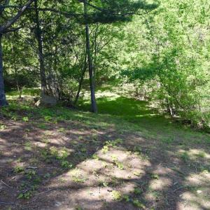 Photo #13 of SOLD property in 1532 Wideview Drive, Thaxton, VA 5.2 acres