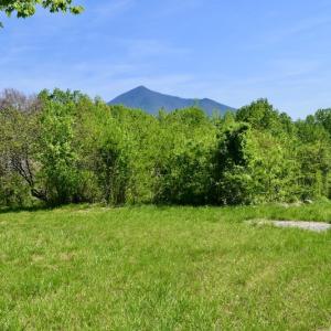 Photo #24 of SOLD property in 1532 Wideview Drive, Thaxton, VA 5.2 acres