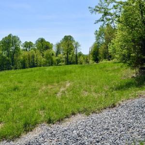 Photo #25 of SOLD property in 1532 Wideview Drive, Thaxton, VA 5.2 acres