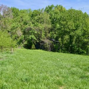 Photo #26 of SOLD property in 1532 Wideview Drive, Thaxton, VA 5.2 acres