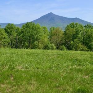 Photo #29 of SOLD property in 1532 Wideview Drive, Thaxton, VA 5.2 acres