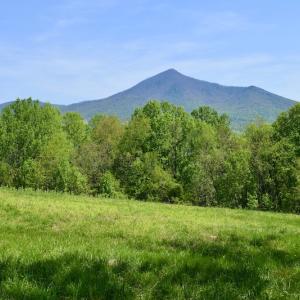 Photo #30 of SOLD property in 1532 Wideview Drive, Thaxton, VA 5.2 acres