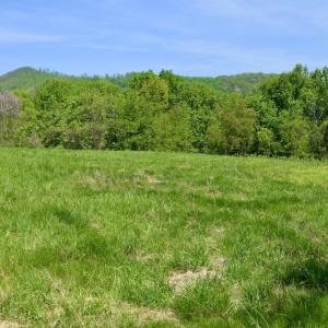 Photo #31 of SOLD property in 1532 Wideview Drive, Thaxton, VA 5.2 acres