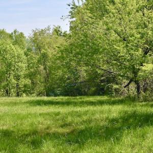 Photo #32 of SOLD property in 1532 Wideview Drive, Thaxton, VA 5.2 acres