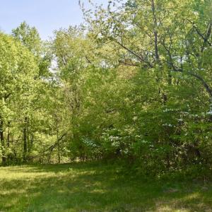 Photo #33 of SOLD property in 1532 Wideview Drive, Thaxton, VA 5.2 acres