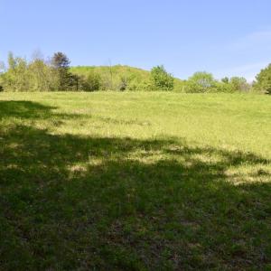 Photo #35 of SOLD property in 1532 Wideview Drive, Thaxton, VA 5.2 acres