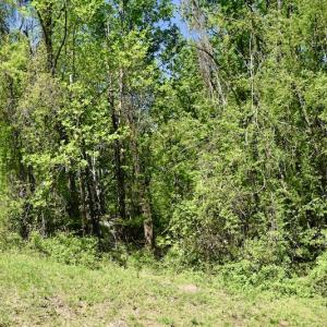 Photo #37 of SOLD property in 1532 Wideview Drive, Thaxton, VA 5.2 acres