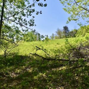 Photo #41 of SOLD property in 1532 Wideview Drive, Thaxton, VA 5.2 acres